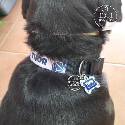 Coleira e/ou chapinha de identificação